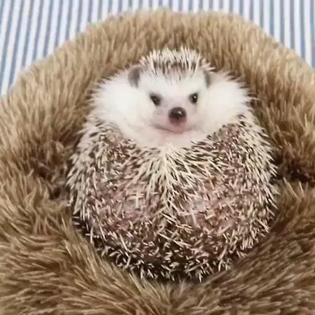 Riccio Apartment La Spezia