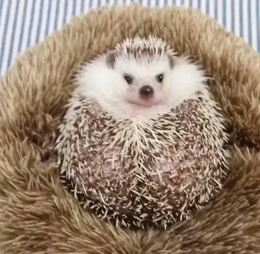 Riccio Apartment La Spezia